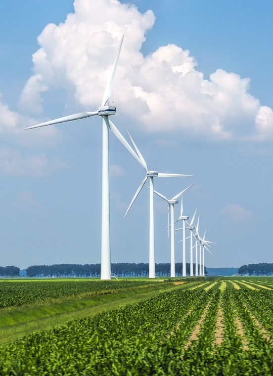 优发国际·随优而动一触即发